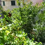 Dube Appartement