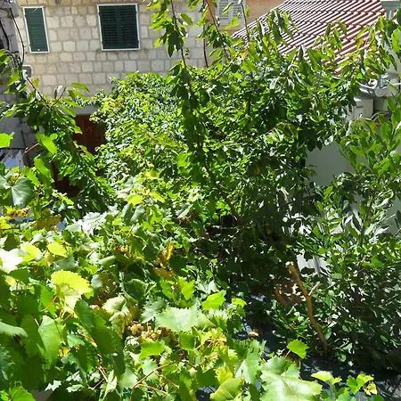 Dube Apartment
