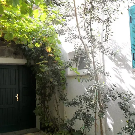 Dube Apartment Split